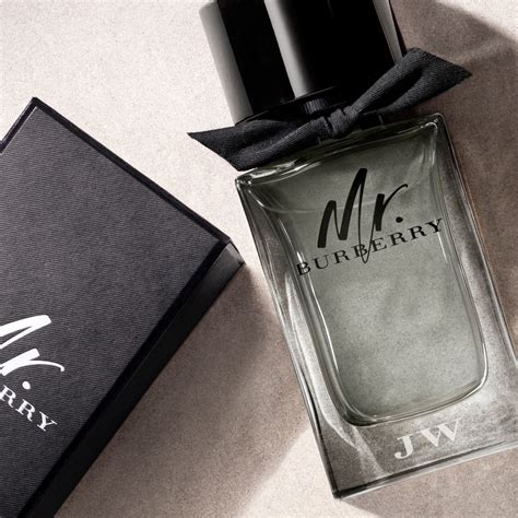 mr burberry eau de toilette|burberry classic eau de toilette.